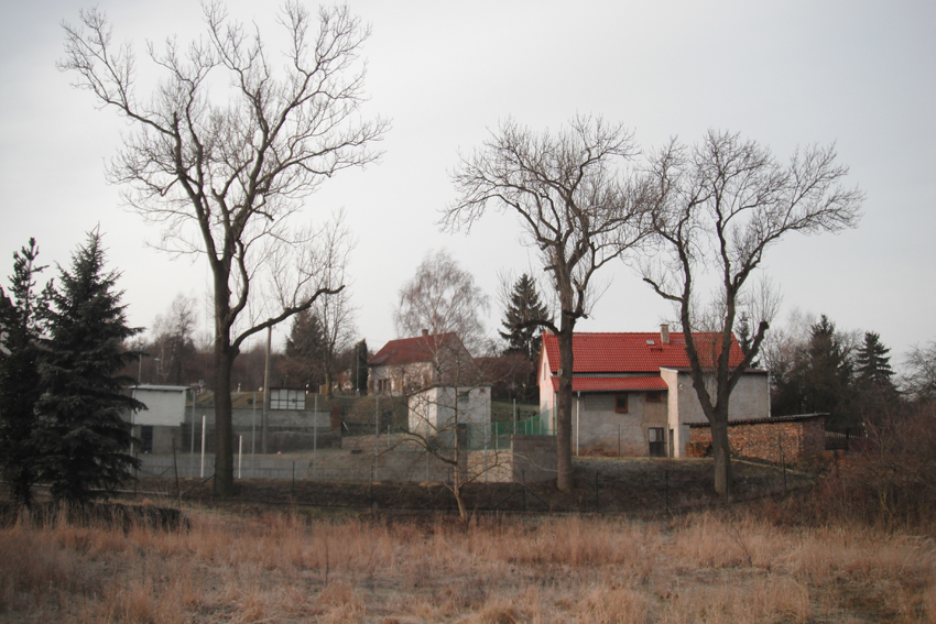 foto (2)